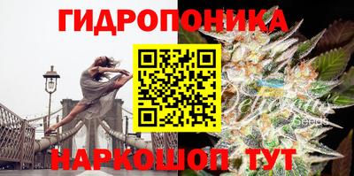 гашик Апрелевка