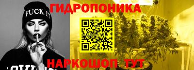 сатива Жуковский
