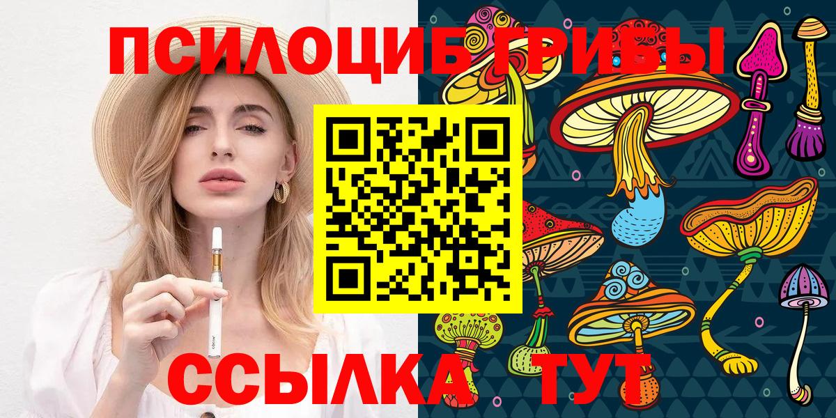 Псилоцибиновые грибы Psilocybe  Вход с VPN  купить закладку  Назарово 