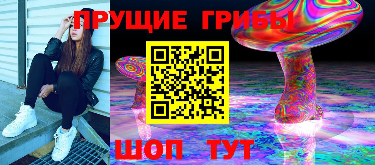 Галлюциногенные грибы Cubensis Назарово