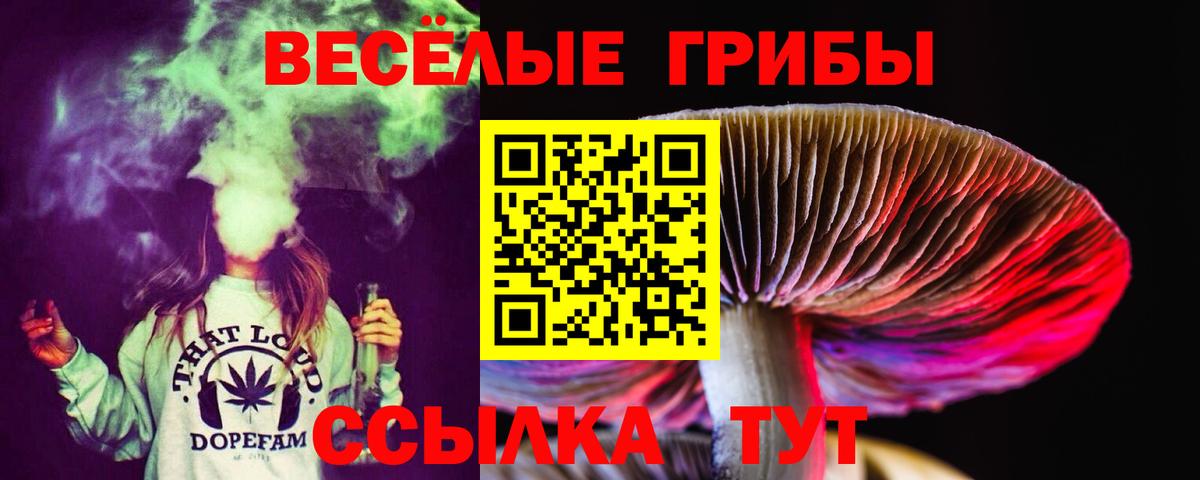 Галлюциногенные грибы Psilocybe Назарово